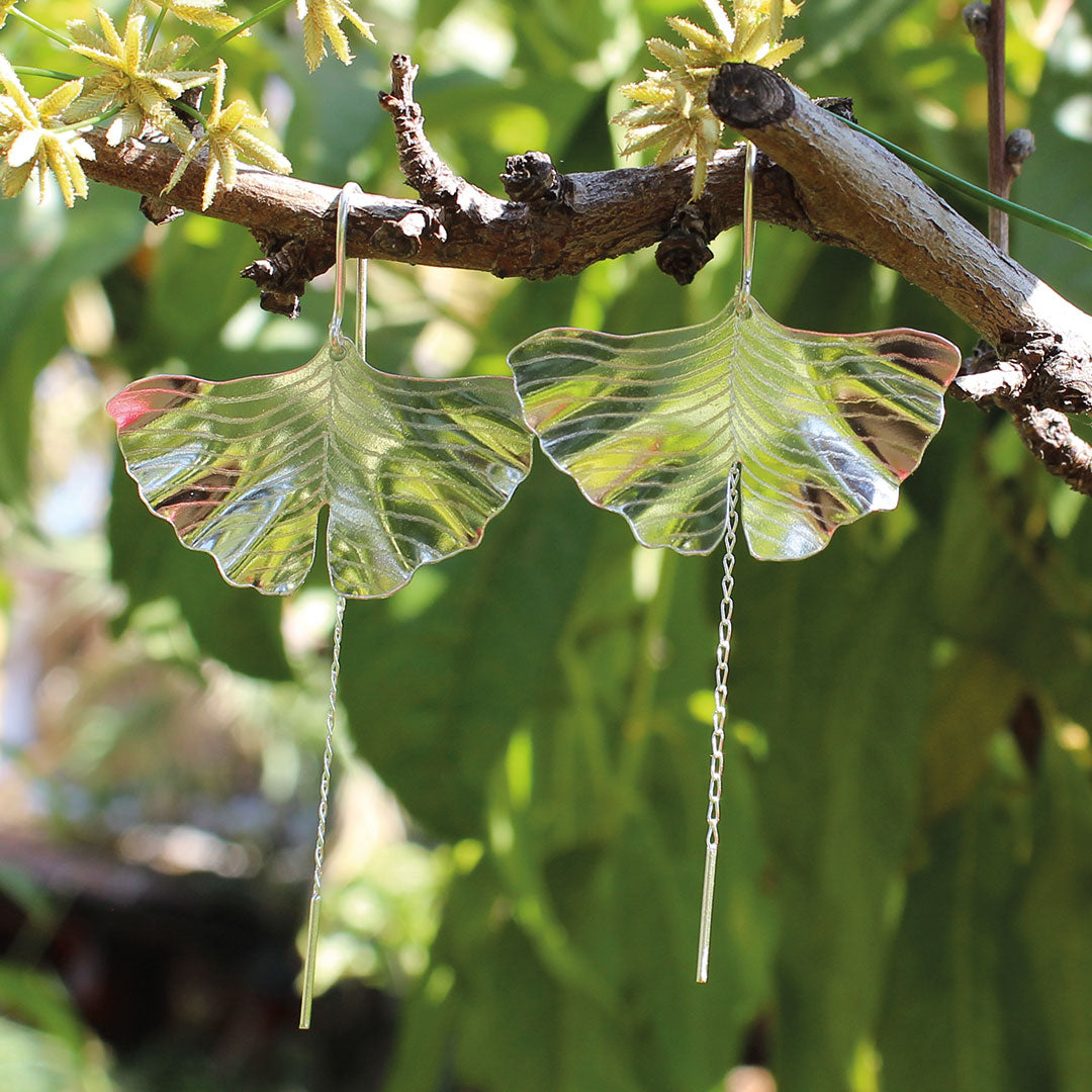 Aros Ginko cadena