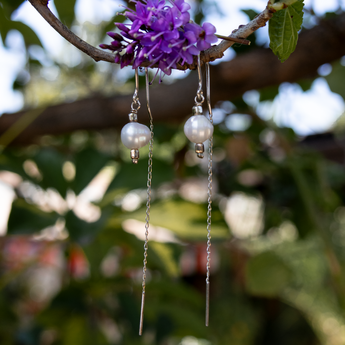 Aros Nova Perlas