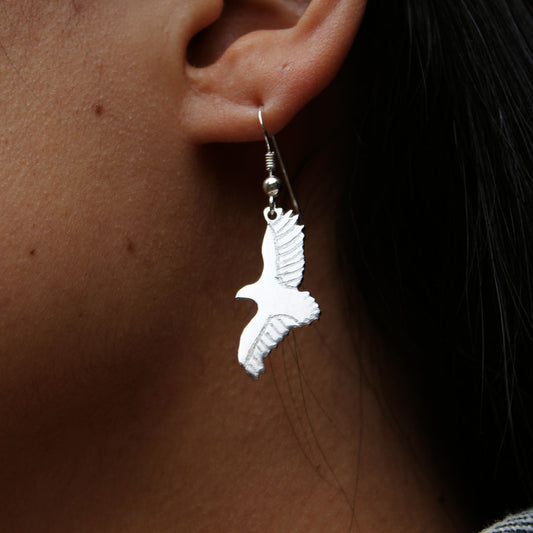 Aros Vuelo del Cóndor